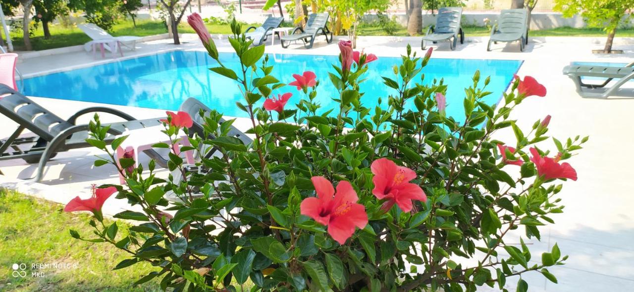 Green Garden Otel ケメル エクステリア 写真