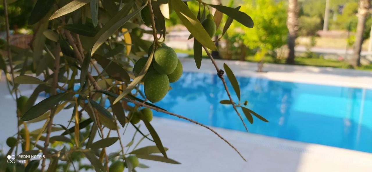 Green Garden Otel ケメル エクステリア 写真
