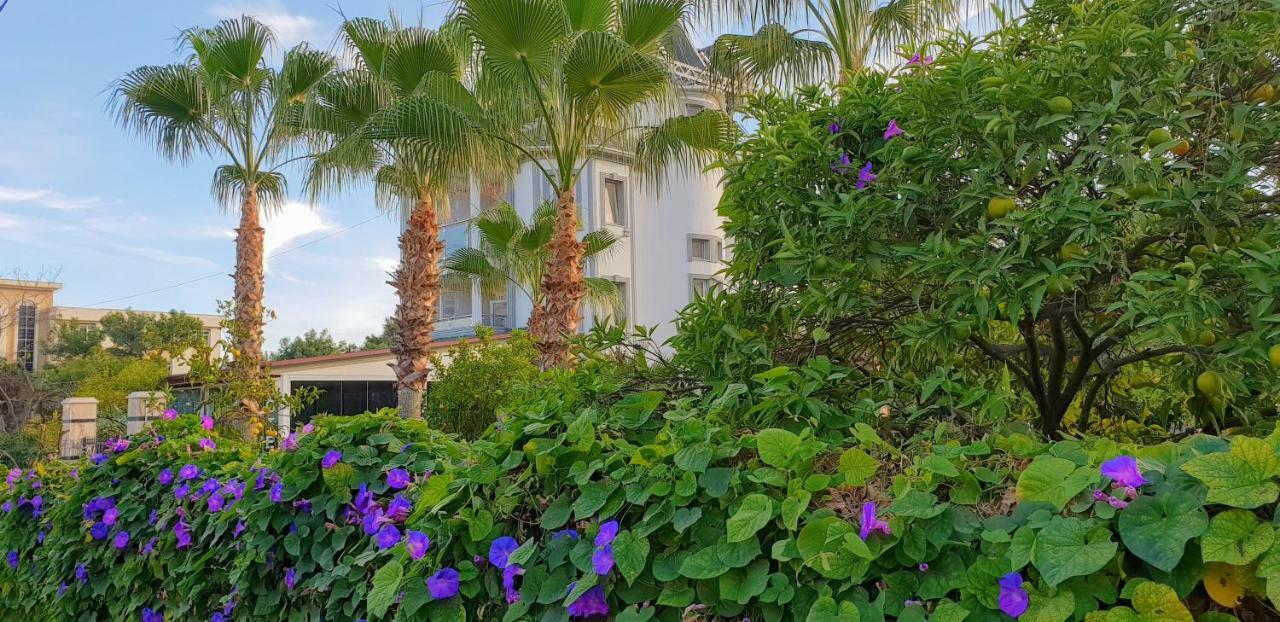 Green Garden Otel ケメル エクステリア 写真